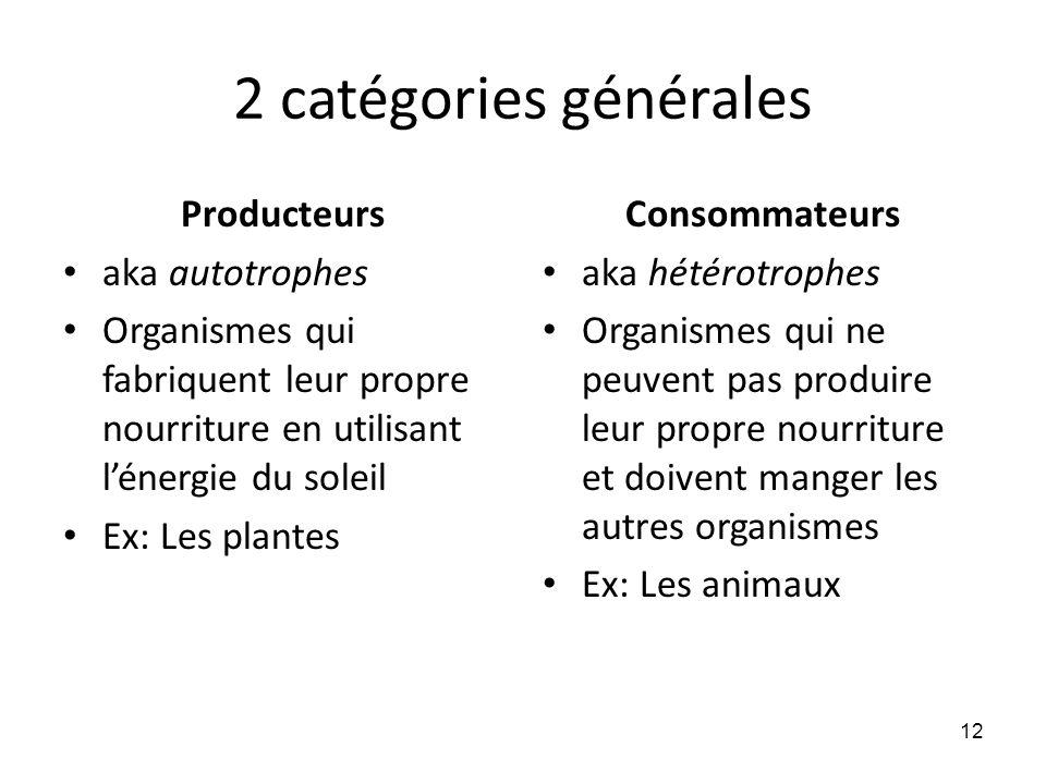 2 catégories générales Producteurs aka autotrophes