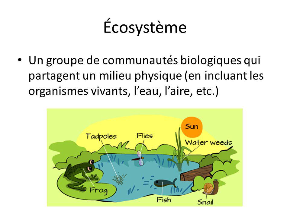Écosystème Un groupe de communautés biologiques qui partagent un milieu physique (en incluant les organismes vivants, l’eau, l’aire, etc.)
