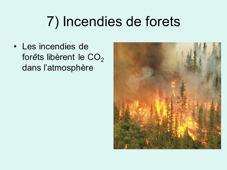 7) Incendies de forets Les incendies de forêts libèrent le CO2 dans l’atmosphère