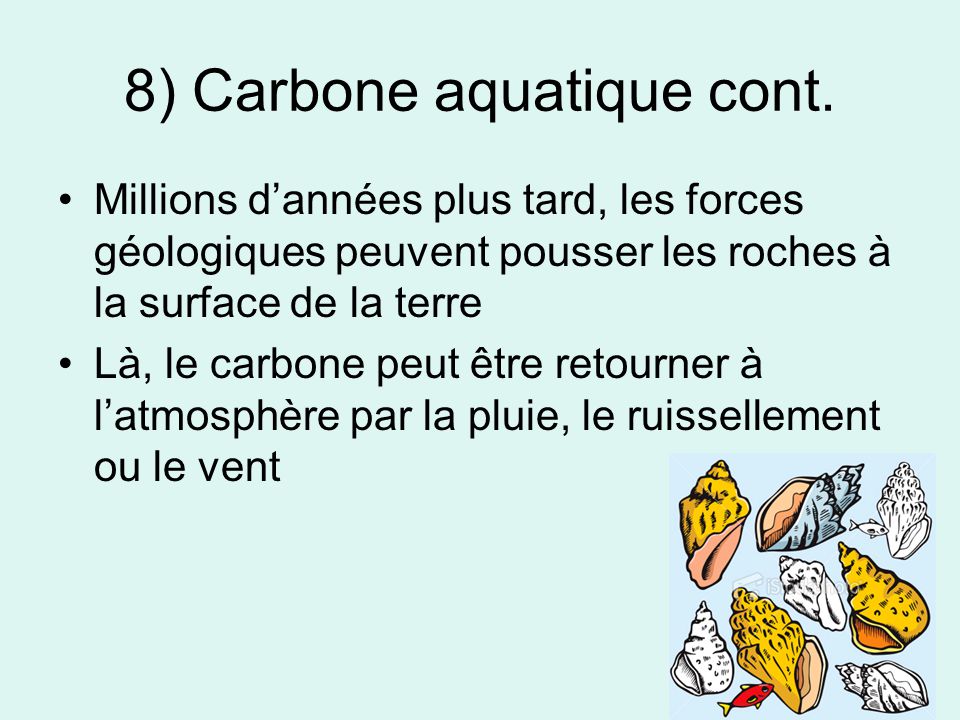 8) Carbone aquatique cont.