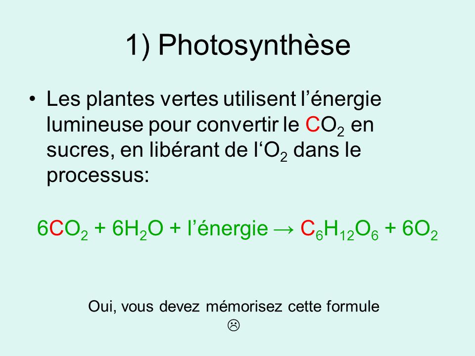 1) Photosynthèse Les plantes vertes utilisent l’énergie lumineuse pour convertir le CO2 en sucres, en libérant de l‘O2 dans le processus: