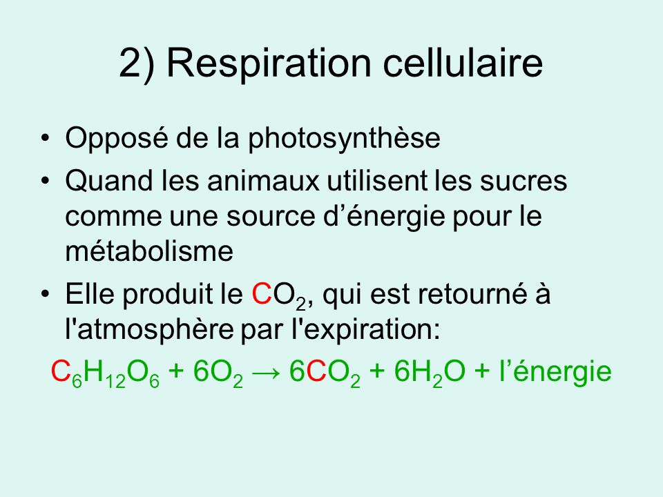 2) Respiration cellulaire
