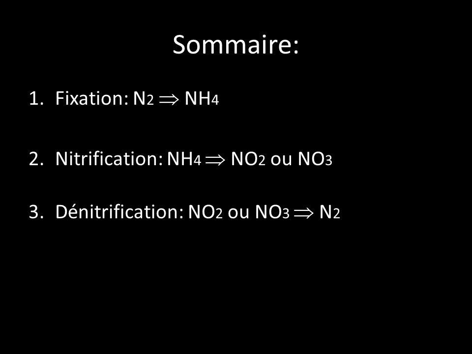 Sommaire: Fixation: N2  NH4 Nitrification: NH4  NO2 ou NO3
