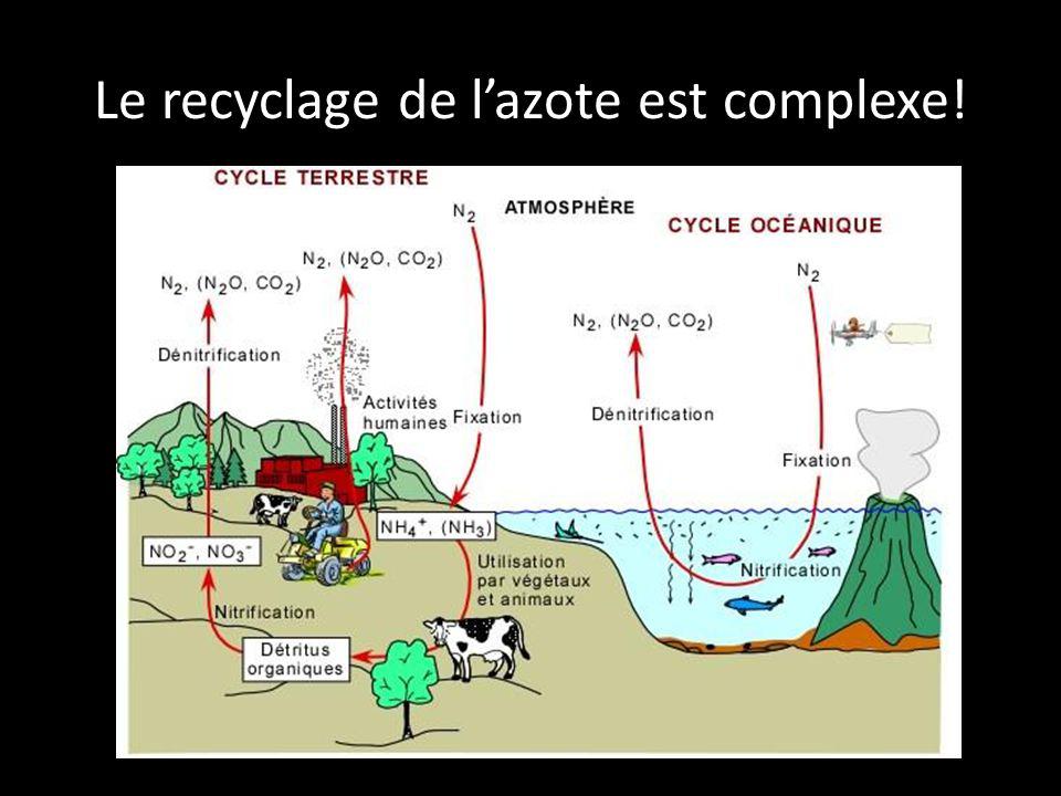 Le recyclage de l’azote est complexe!