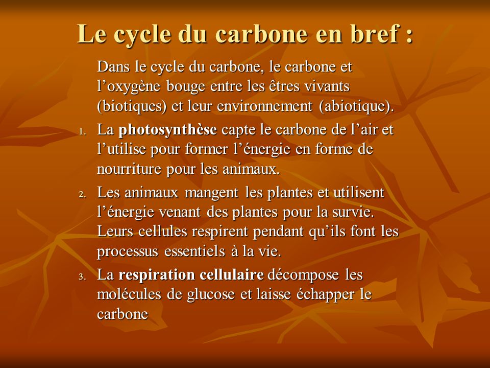Le cycle du carbone en bref :