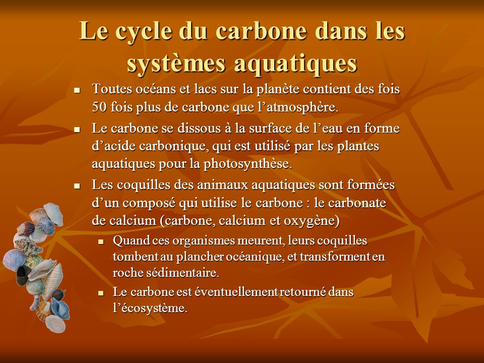 Le cycle du carbone dans les systèmes aquatiques