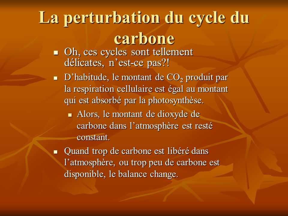 La perturbation du cycle du carbone