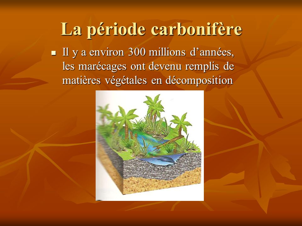 La période carbonifère