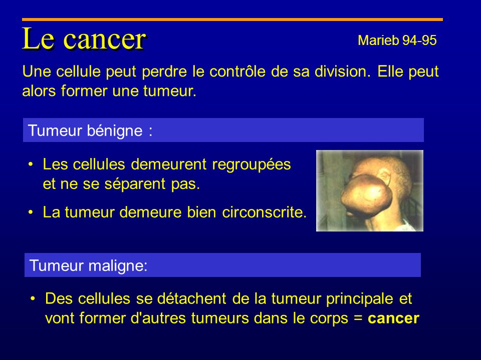 Le cancer Marieb Une cellule peut perdre le contrôle de sa division. Elle peut alors former une tumeur.