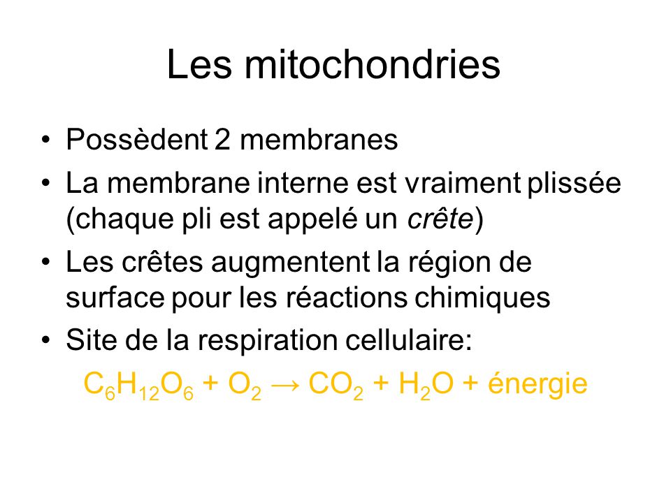 Les mitochondries Possèdent 2 membranes