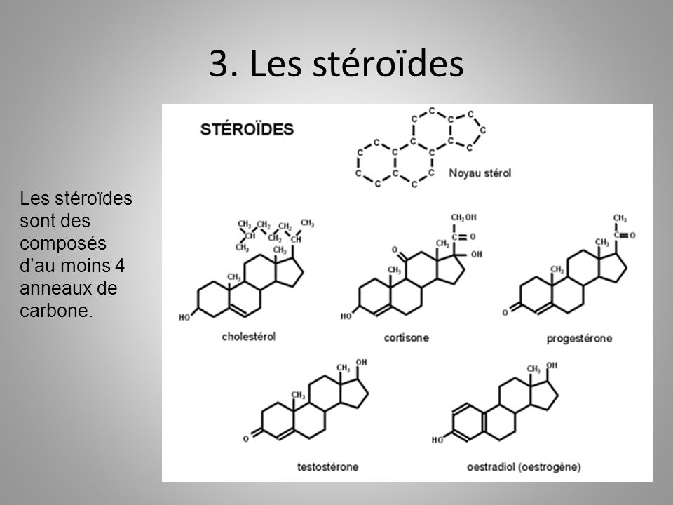 How To Be In The Top 10 With steroide et bebe