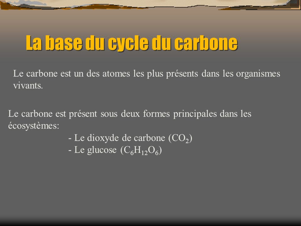 La base du cycle du carbone