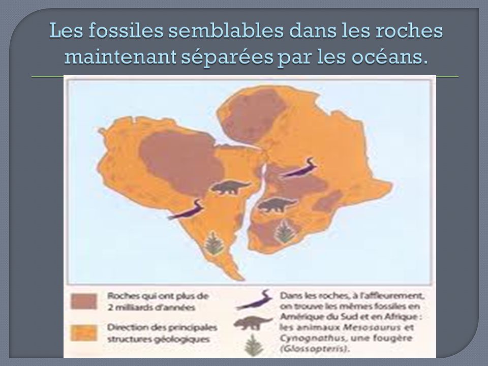 Les fossiles semblables dans les roches maintenant séparées par les océans.