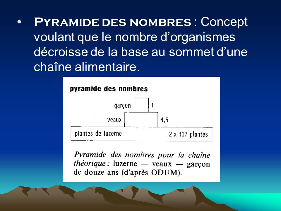 Pyramide des nombres : Concept voulant que le nombre d’organismes décroisse de la base au sommet d’une chaîne alimentaire.