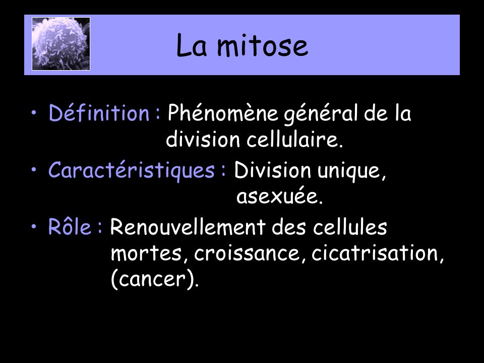 La mitose Définition : Phénomène général de la division cellulaire.