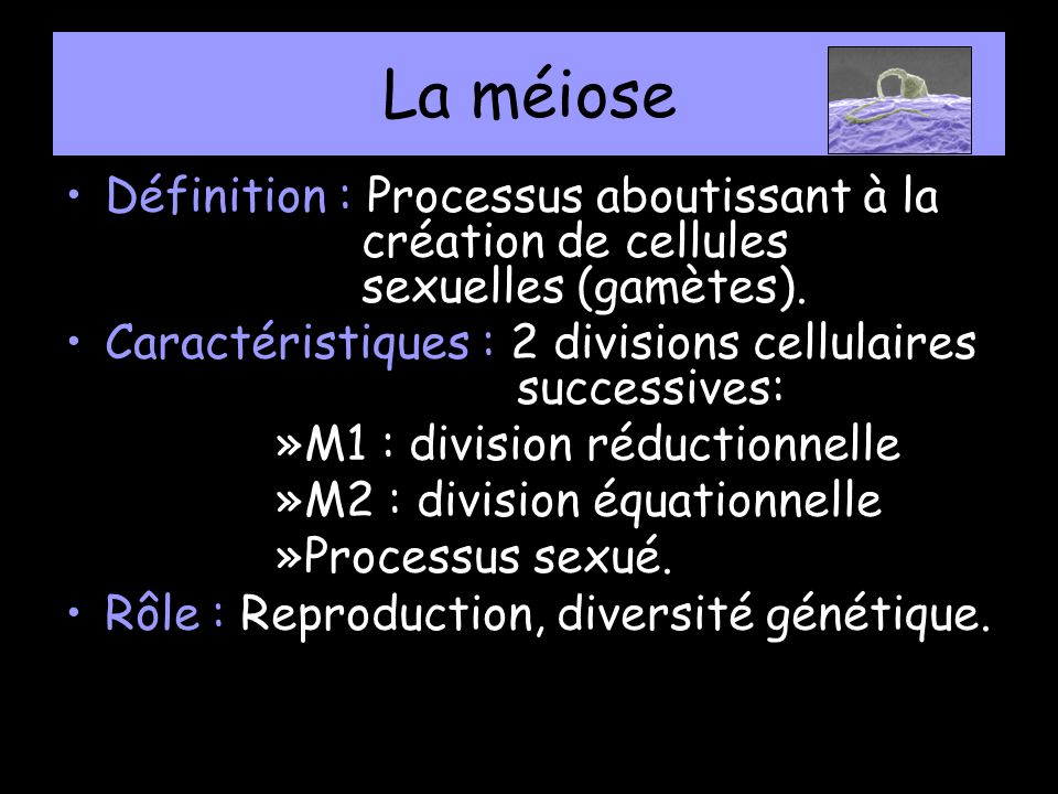 La méiose Définition : Processus aboutissant à la création de cellules sexuelles (gamètes).