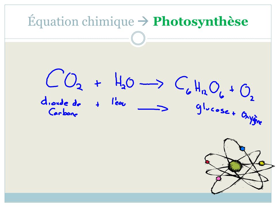 Équation chimique  Photosynthèse