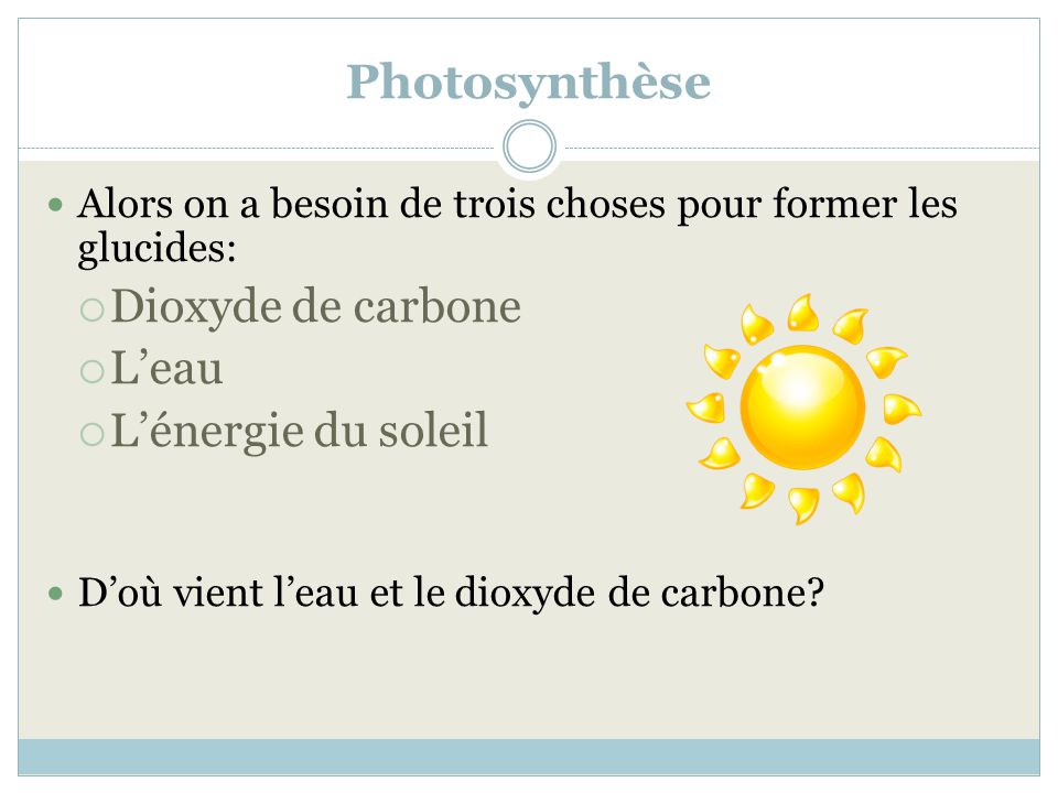 Photosynthèse Dioxyde de carbone L’eau L’énergie du soleil