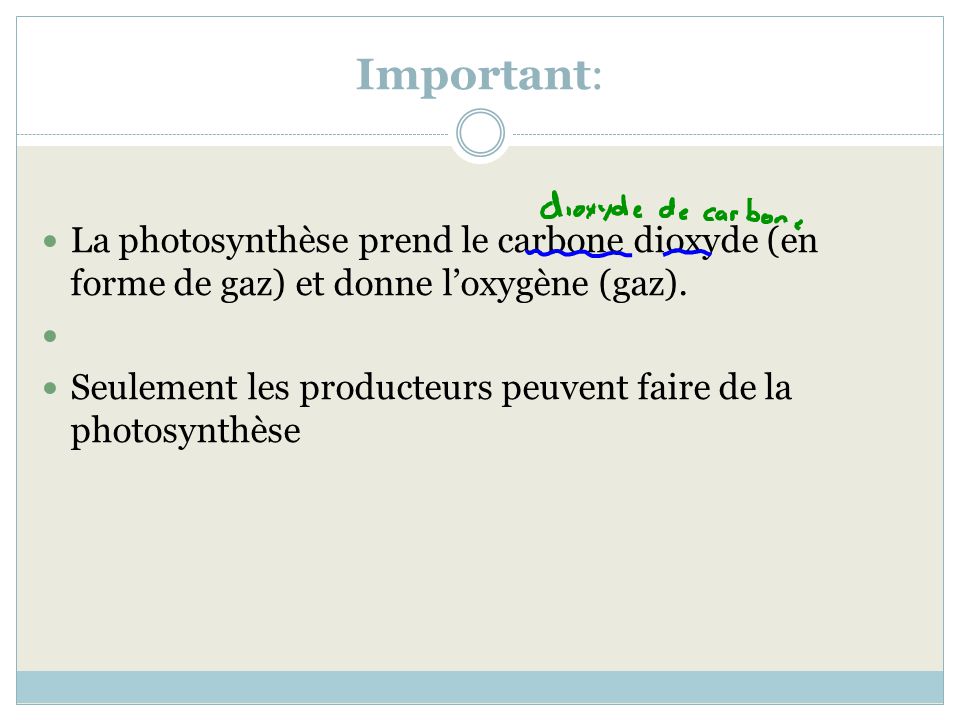 Important: La photosynthèse prend le carbone dioxyde (en forme de gaz) et donne l’oxygène (gaz).