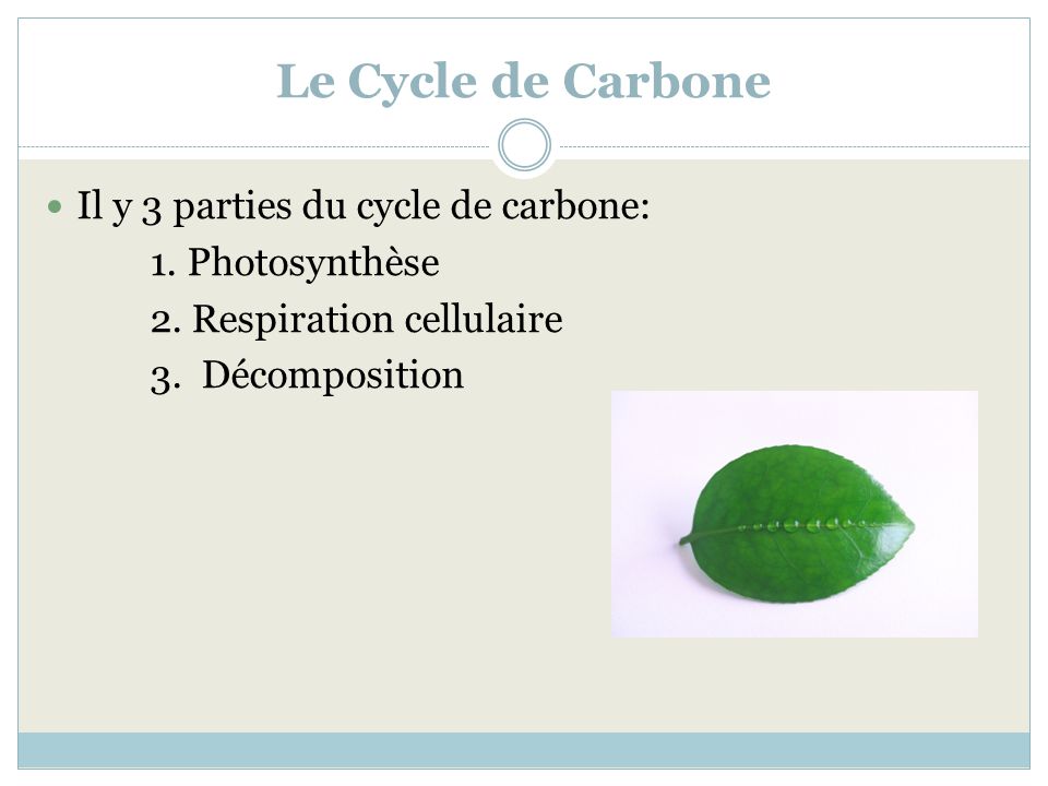 Le Cycle de Carbone Il y 3 parties du cycle de carbone: