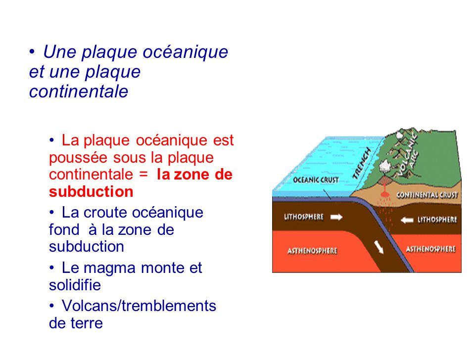 Une plaque océanique et une plaque continentale