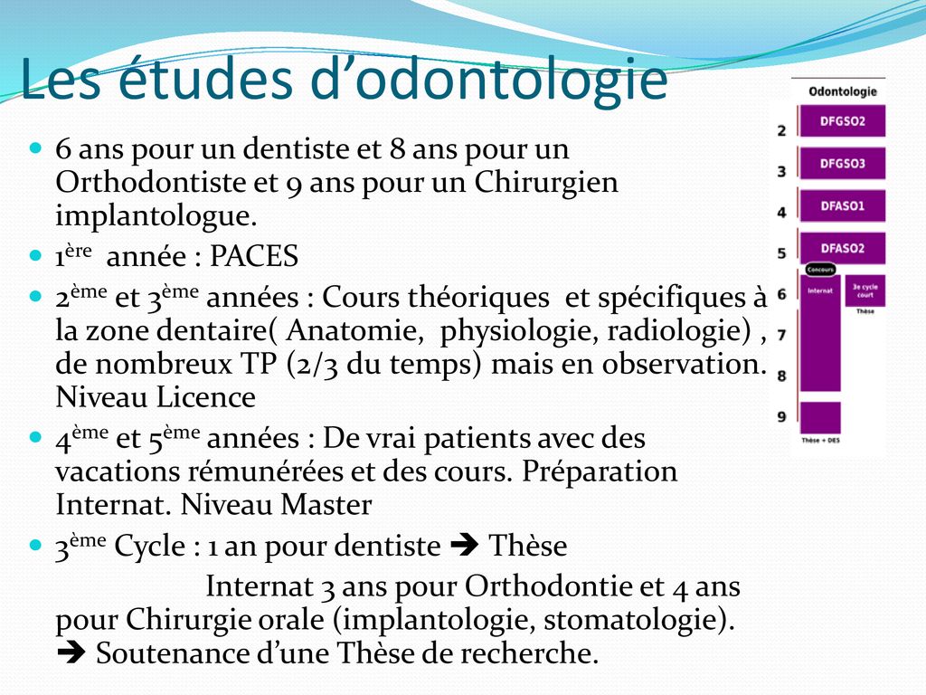 Professions Médicales Et Paramédicales - Ppt Télécharger