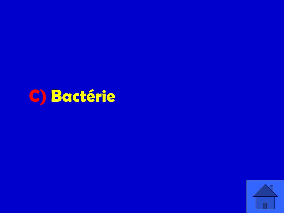 C) Bactérie