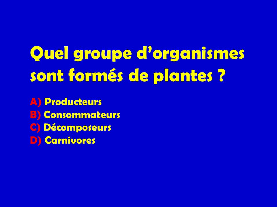Quel groupe d’organismes sont formés de plantes