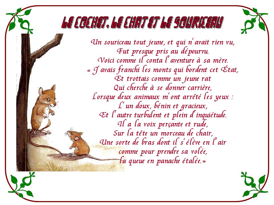 Le Cochet Le Chat Et Le Souriceau Texte