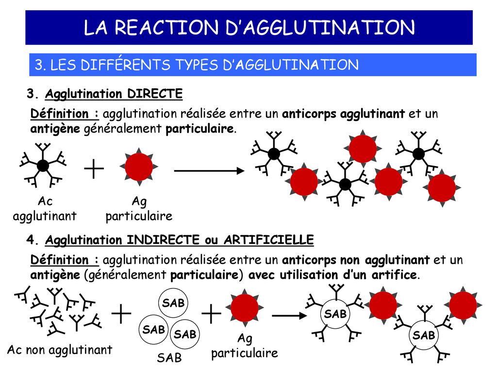 Реакция d n. Agglutination. Реакция ла. Co agglutination Reaction. Passive agglutination.