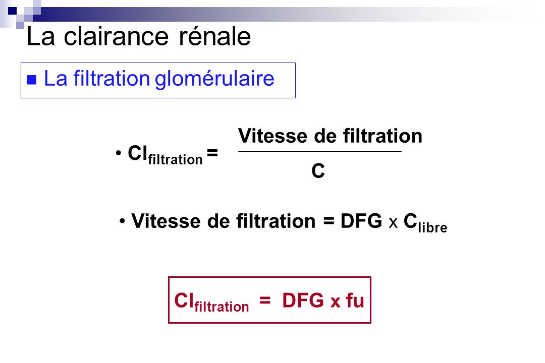 La clairance rénale La filtration glomérulaire Clfiltration =