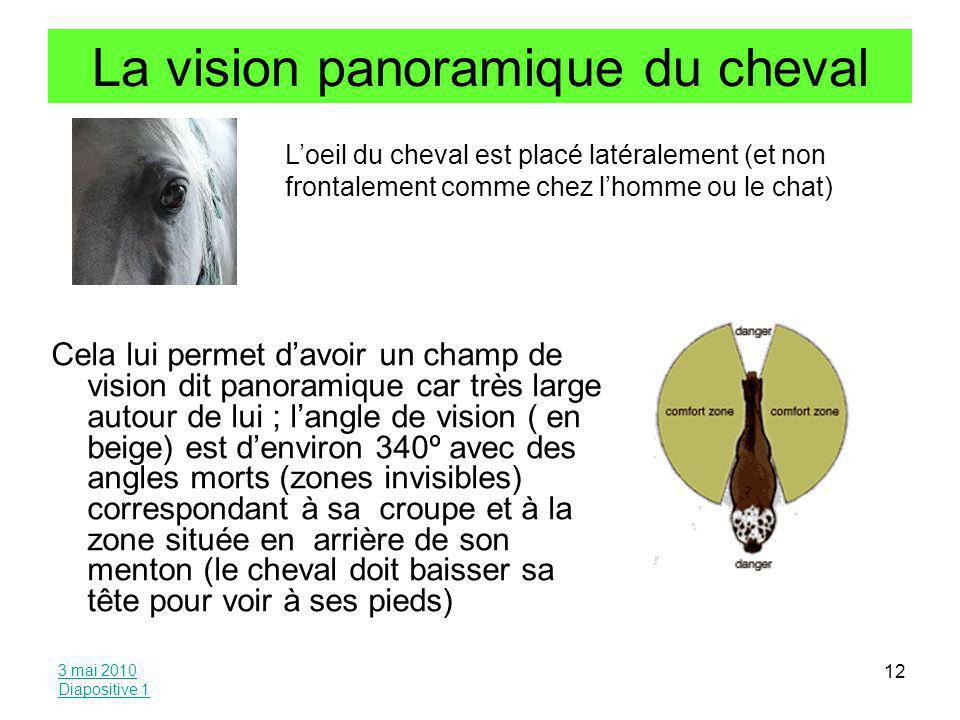 La Vision Chez Le Cheval Ppt Video Online Telecharger