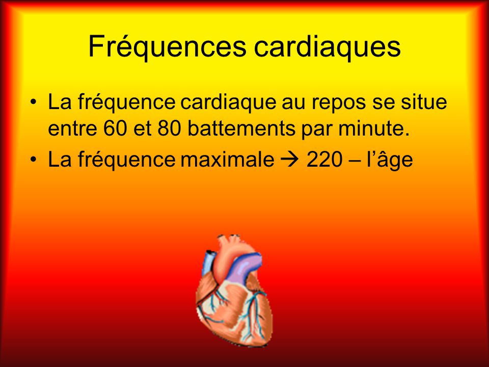 Fréquences cardiaques