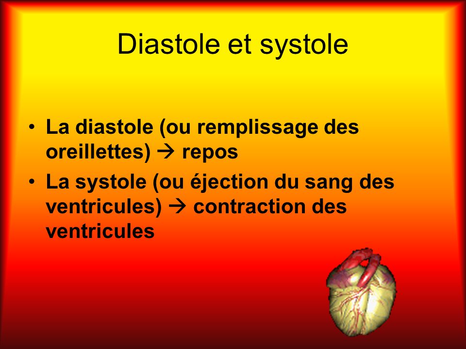Diastole et systole La diastole (ou remplissage des oreillettes)  repos.