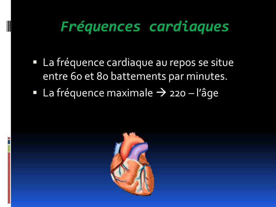 Fréquences cardiaques