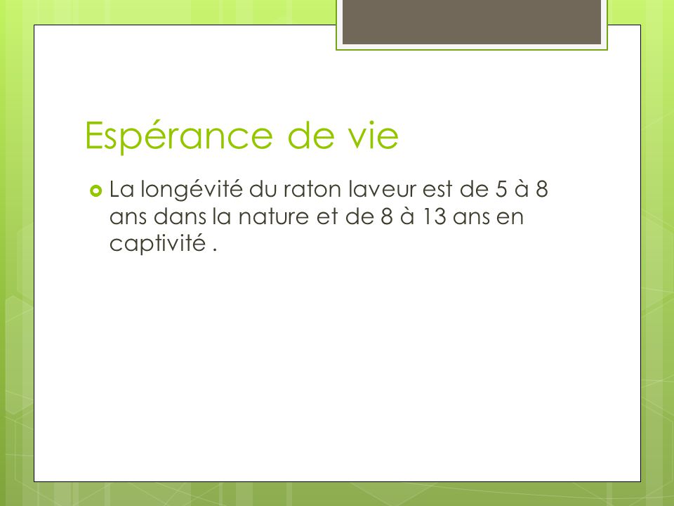 Espérance de vie La longévité du raton laveur est de 5 à 8 ans dans la nature et de 8 à 13 ans en captivité .