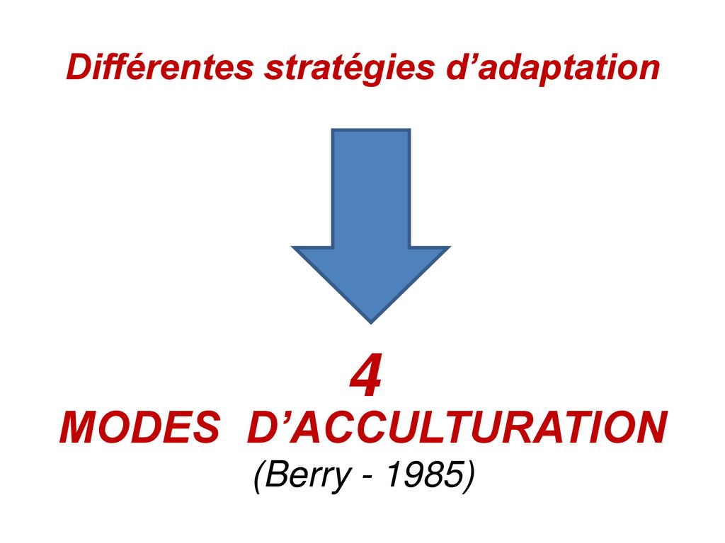 L Acculturation Strategies D Acculturation D Apres J W Berry Ppt Telecharger