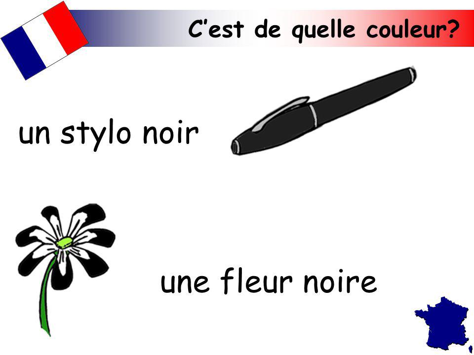 un stylo noir une fleur noire C’est de quelle couleur