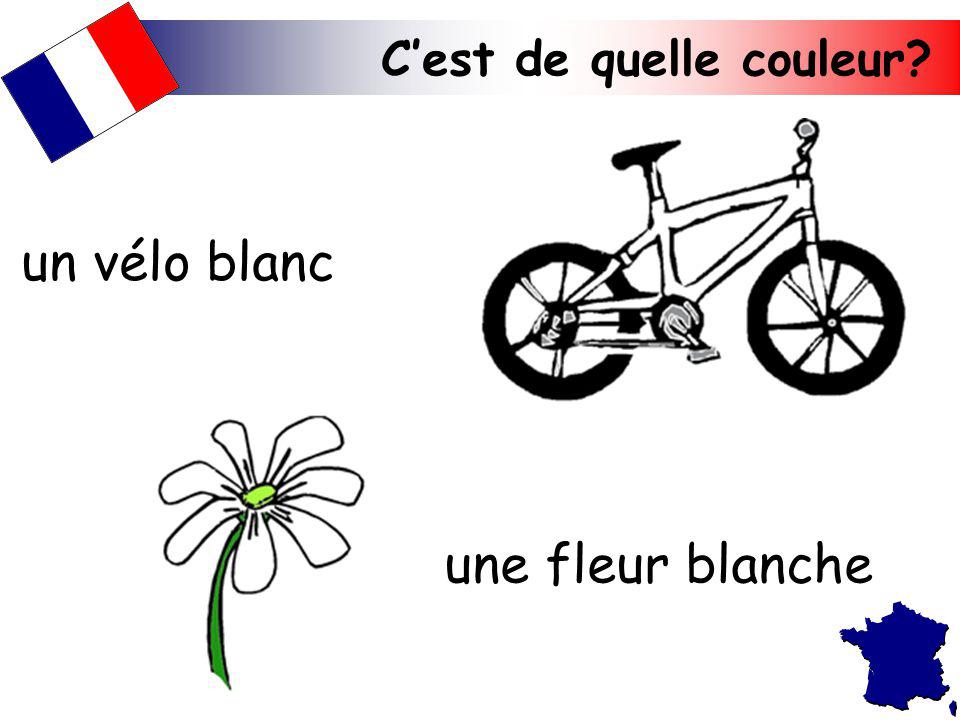 un vélo blanc une fleur blanche C’est de quelle couleur