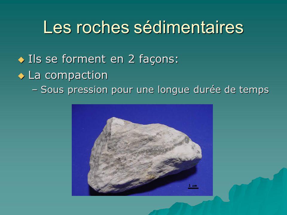 Les roches sédimentaires
