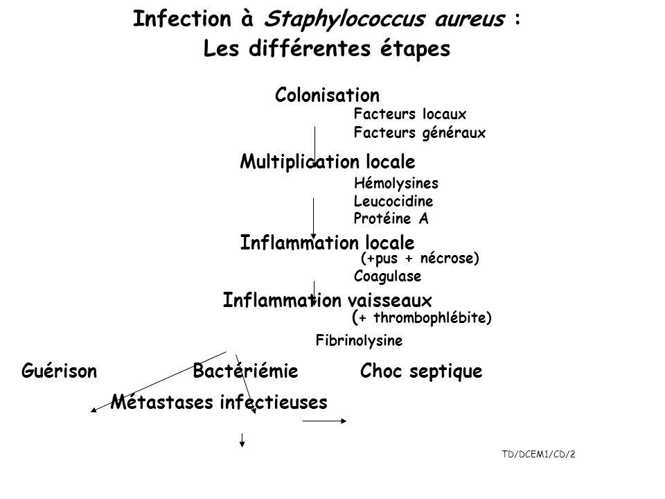 toxine staphylocoque