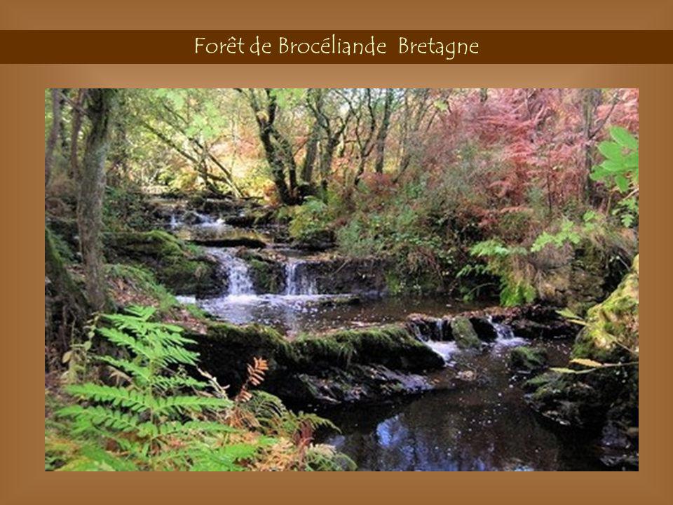 Forêt de Brocéliande Bretagne