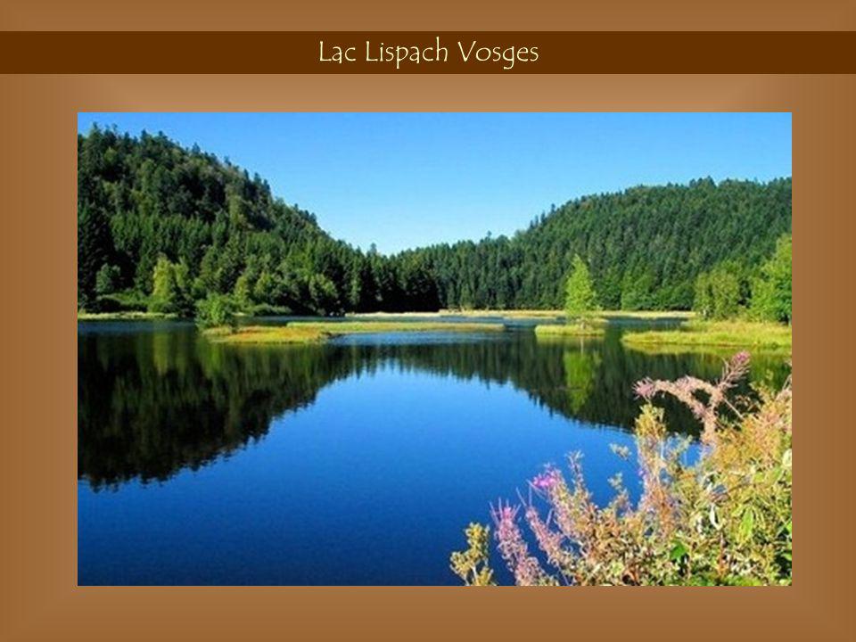 Lac Lispach Vosges