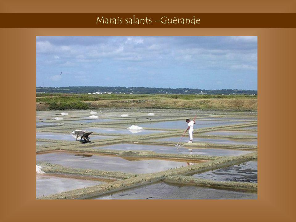 Marais salants –Guérande