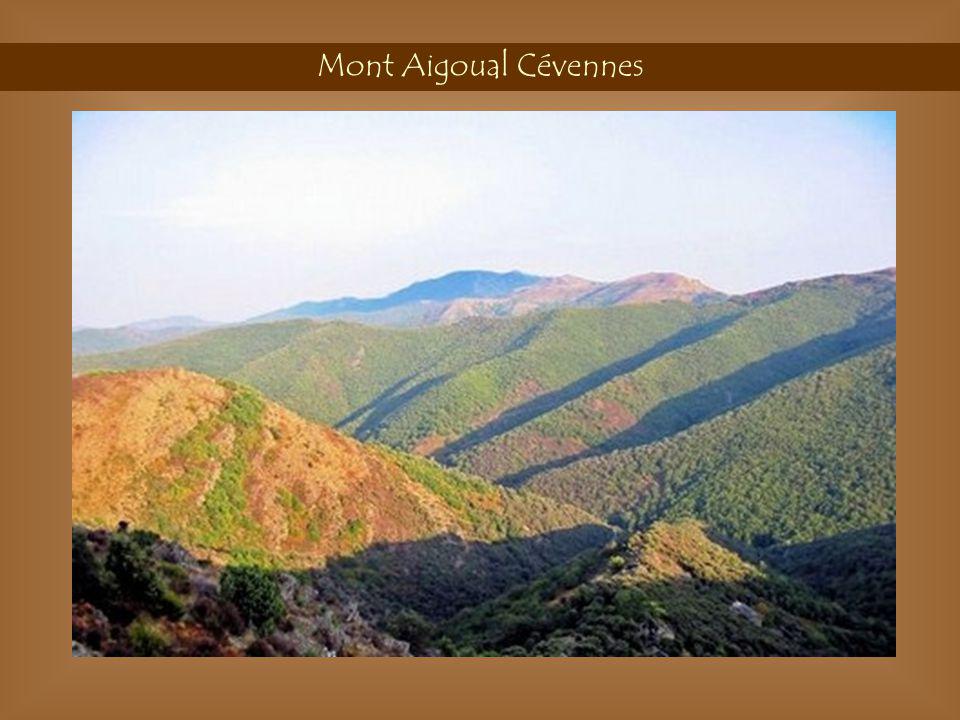 Mont Aigoual Cévennes