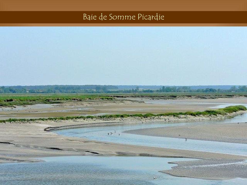 Baie de Somme Picardie