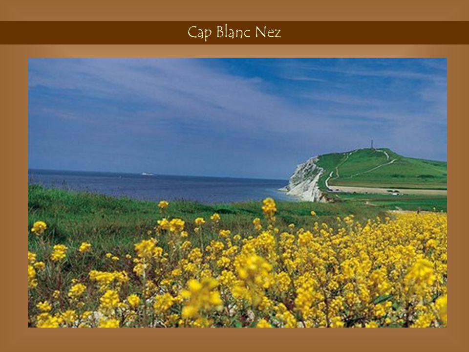 Cap Blanc Nez