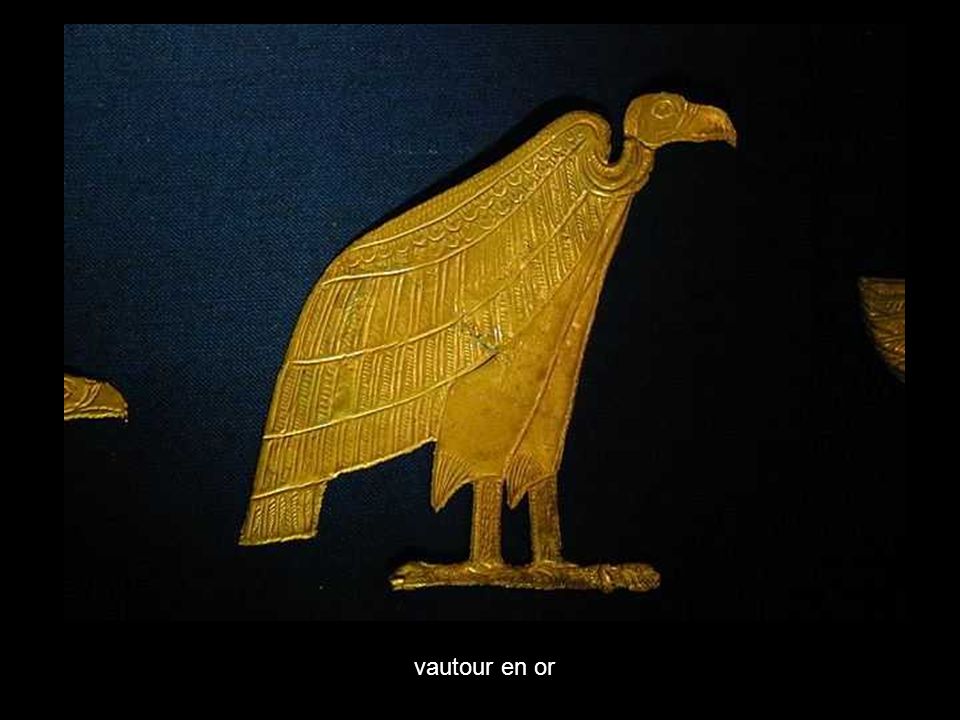vautour en or