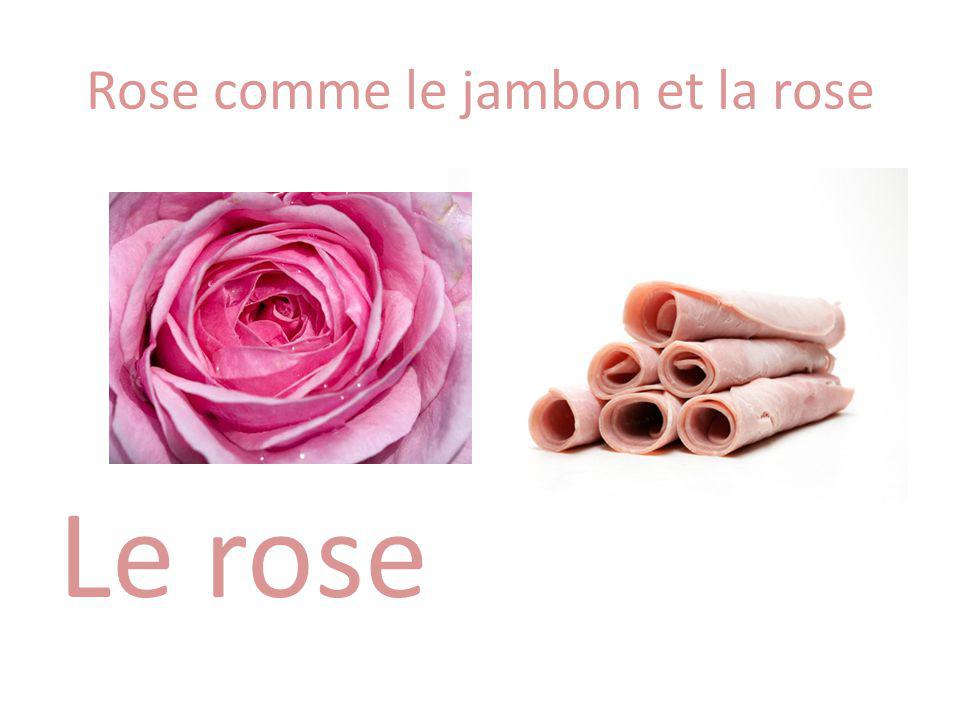 Rose comme le jambon et la rose