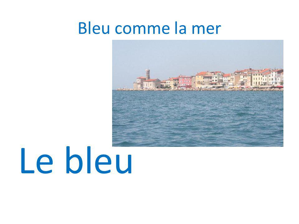 Bleu comme la mer Le bleu